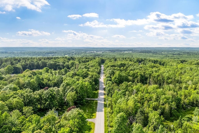 60 Evergreen Dr, Hermon, ME 04401 - bird's eye view of a heavily wooded area