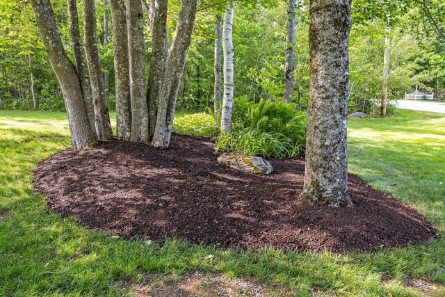 60 Evergreen Dr, Hermon, ME 04401 - view of green lawn