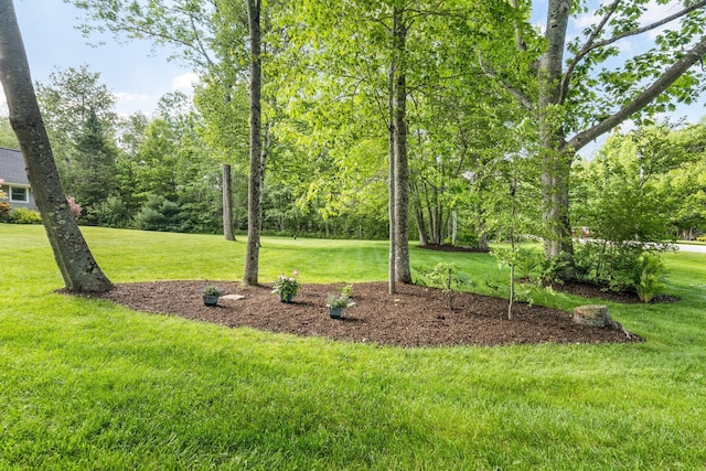 60 Evergreen Dr, Hermon, ME 04401 - view of grassy yard