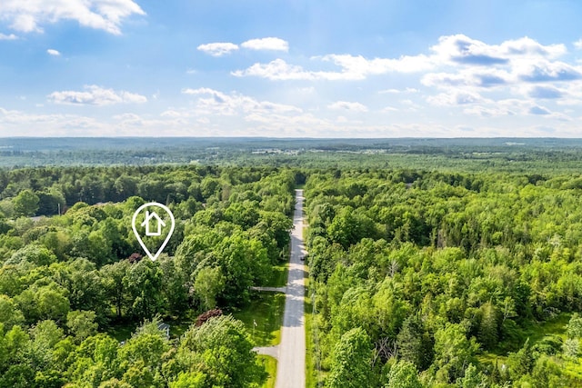 60 Evergreen Dr, Hermon, ME 04401 - aerial view of a forest