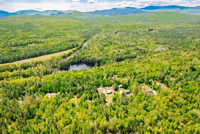 77 Toothaker Pond Rd, Phillips, ME 04966 - bird's eye view of a forest and a water and mountain view
