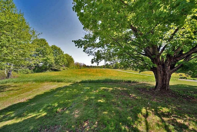 298 Framngham Rd, Littleton, ME 04730 - photo 89