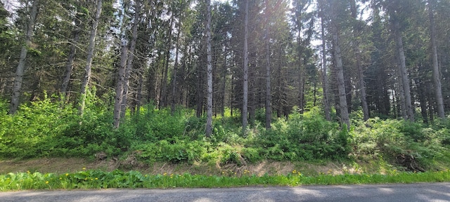 1066 S Perley Brook Rd, Fort Kent, ME 04743 - photo 4