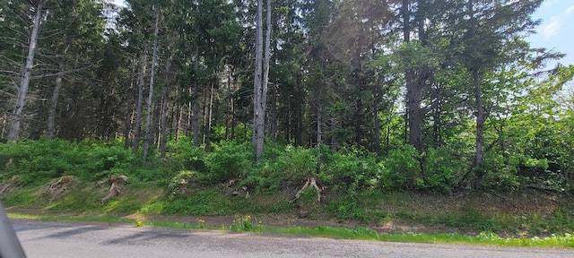 1066 S Perley Brook Rd, Fort Kent, ME 04743 - photo 5