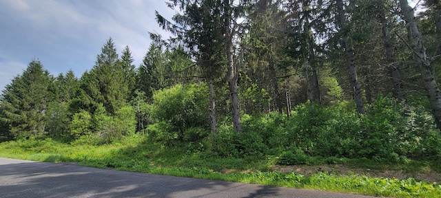 1066 S Perley Brook Rd, Fort Kent, ME 04743 - photo 6
