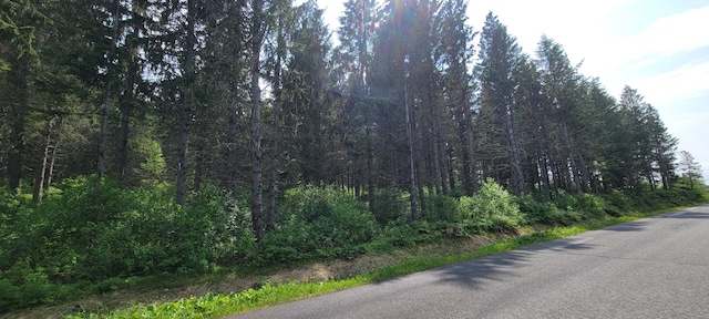 1066 S Perley Brook Rd, Fort Kent, ME 04743 - photo 2