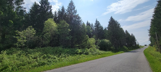 1066 S Perley Brook Rd, Fort Kent, ME 04743 - photo 8
