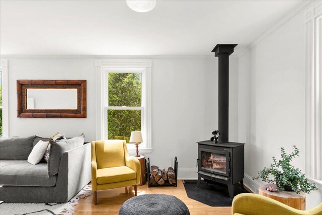 276 N Sedgwick Rd, Sedgwick, ME 04676 - living room with a wood stove, wood finished floors, crown molding, and baseboards