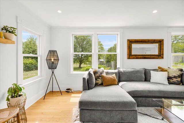 276 N Sedgwick Rd, Sedgwick, ME 04676 - living area featuring light wood-type flooring, ornamental molding, recessed lighting, and baseboards