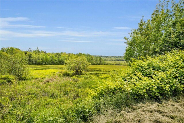 276 N Sedgwick Rd, Sedgwick, ME 04676 - view of local wilderness