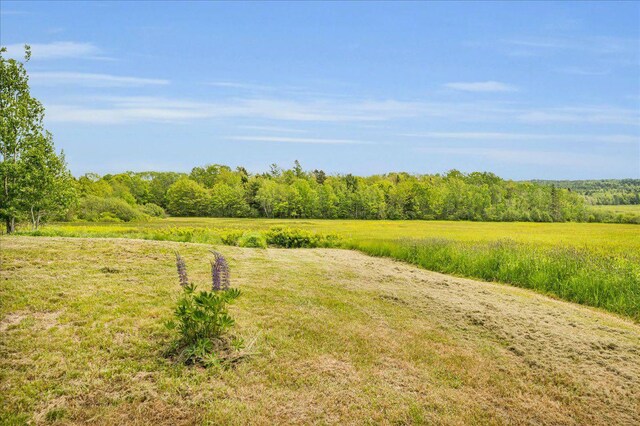 276 N Sedgwick Rd, Sedgwick, ME 04676 - view of yard featuring a rural view and a forest view