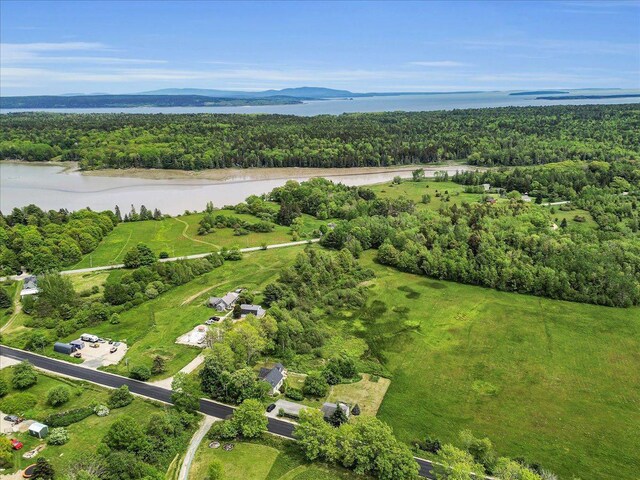 276 N Sedgwick Rd, Sedgwick, ME 04676 - aerial view of a forest and a nearby body of water