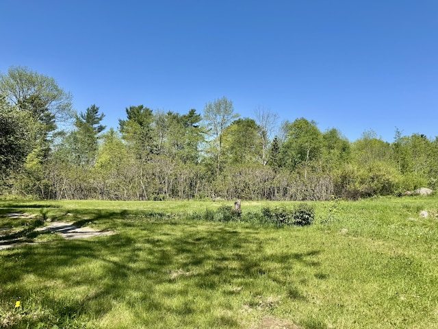 338 River Rd, Bucksport, ME 04416 - view of green lawn