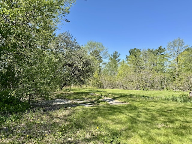 338 River Rd, Bucksport, ME 04416 - view of green lawn with a forest view