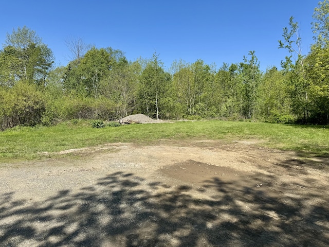 338 River Rd, Bucksport, ME 04416 - view of road with a wooded view