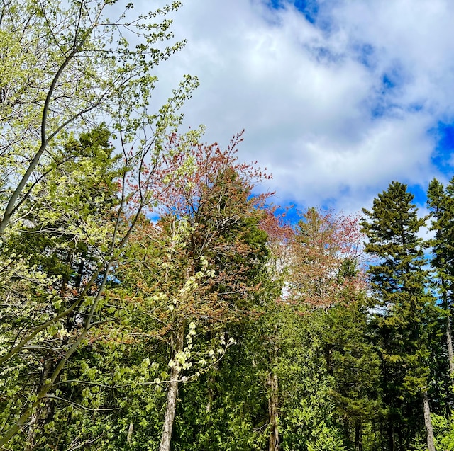 40 Salem Towne Rd, Southwest Harbor, ME 04679 - photo 32