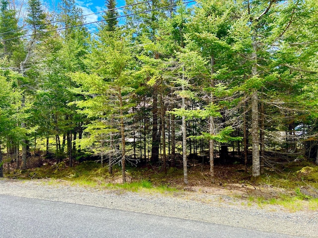 40 Salem Towne Rd, Southwest Harbor, ME 04679 - photo 33