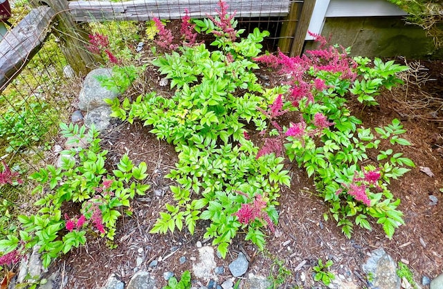 40 Salem Towne Rd, Southwest Harbor, ME 04679 - photo 28