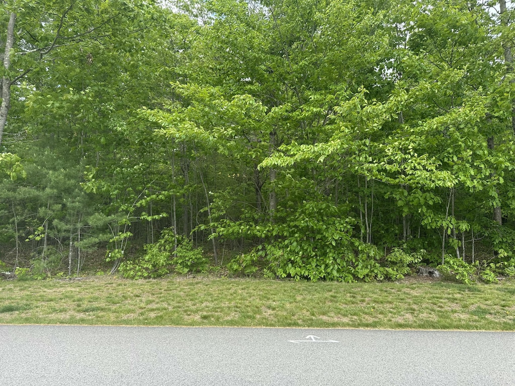 00 Dusty Rhoades Ln, Windham, ME 04062 - photo 1