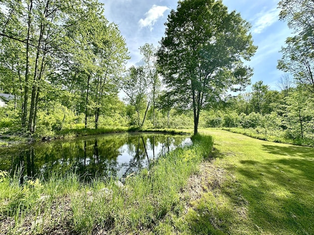 13 Mountain Rd, Newfield, ME 04095 - water view with a forest