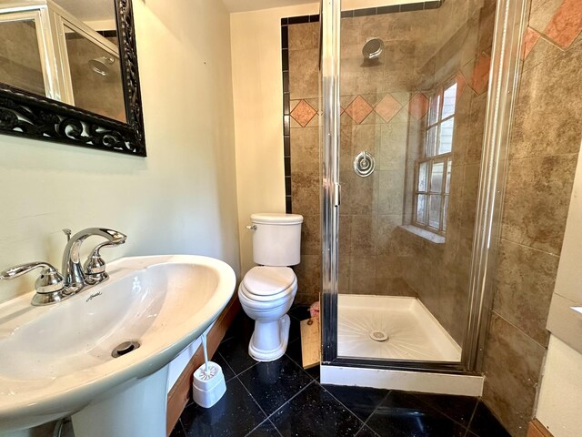 13 Mountain Rd, Newfield, ME 04095 - full bathroom featuring toilet, a shower stall, and a sink