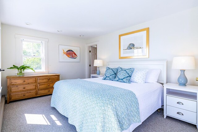 250 Davis Point Rd, Cushing, ME 04563
