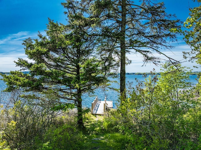 250 Davis Point Rd, Cushing, ME 04563 - water view with a boat dock