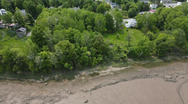 26 Main St, Calais, ME 04619 - photo 3