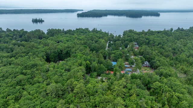 41 Shaw Acres Rd, Standish, ME 04084 - photo 32