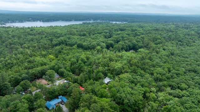 41 Shaw Acres Rd, Standish, ME 04084 - photo 38