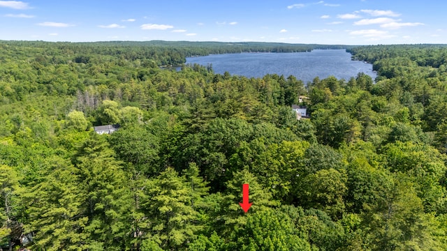 43 Vista Dr, Windham, ME 04062 - aerial view of a heavily wooded area and a large body of water