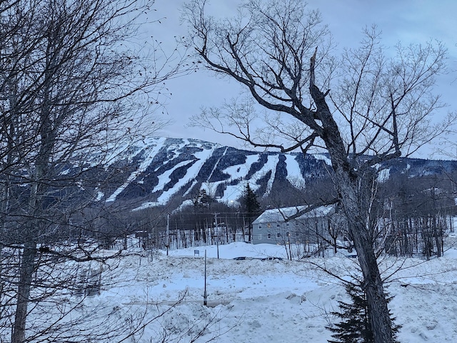 702 Webber Rd Unit 702Webber, Carrabassett Valley, ME 04947 - view of mountain background