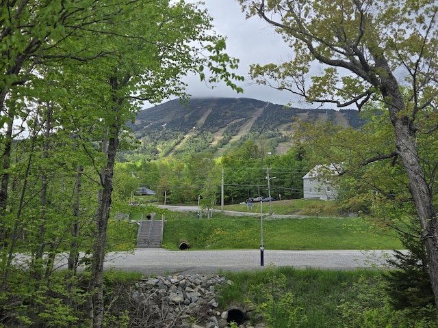 702 Webber Rd Unit 702Webber, Carrabassett Valley, ME 04947 - view of mountain backdrop
