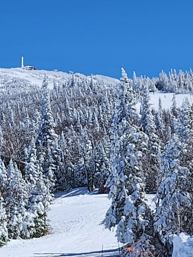 702 Webber Rd Unit 702Webber, Carrabassett Valley, ME 04947 - view of mountain background
