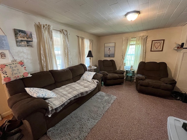 96 French St, Acton, ME 04001 - living area featuring carpet floors