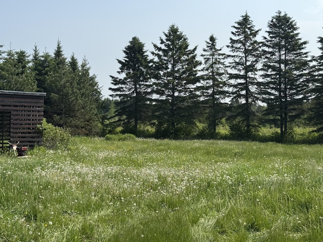 921 Van Buren Rd, Caribou, ME 04736 - photo 2