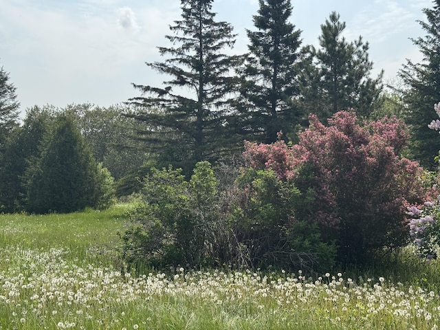 921 Van Buren Rd, Caribou, ME 04736 - photo 3