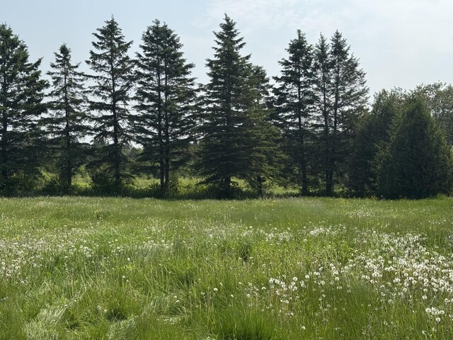 921 Van Buren Rd, Caribou, ME 04736 - photo 4