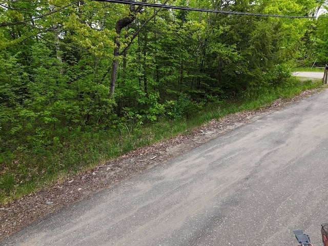 LOT58 Village Vw, Jay, ME 04239 - photo 2