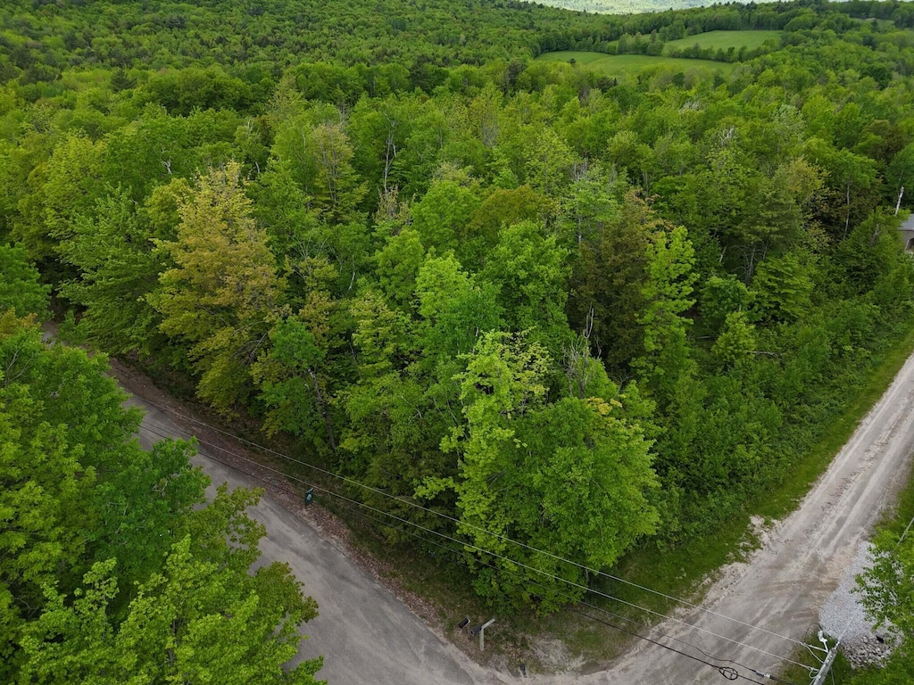 LOT58 Village Vw, Jay, ME 04239 - photo 1
