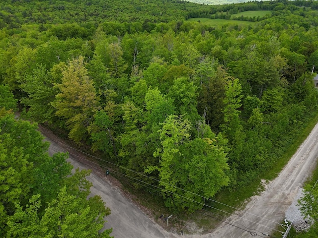 LOT58 Village Vw, Jay, ME 04239 - photo 1
