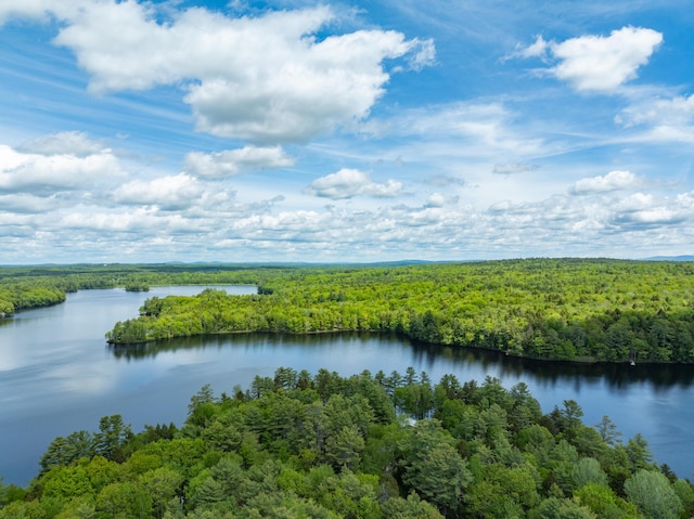 155 Crystal Cv, Waldoboro, ME 04572 - water view with a heavily wooded area