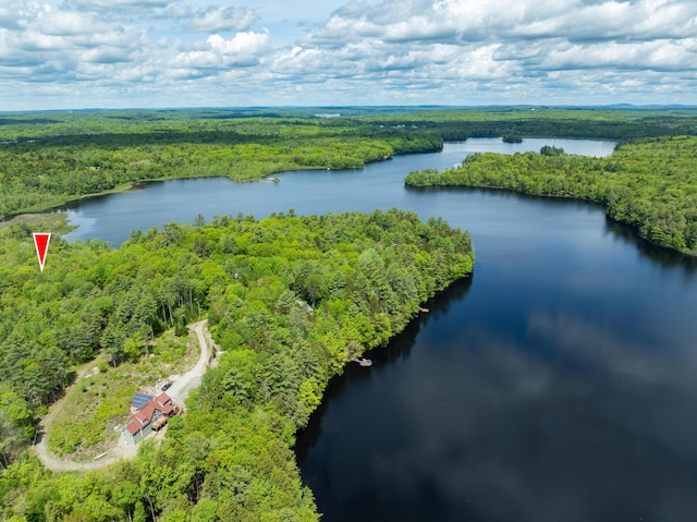 155 Crystal Cv, Waldoboro, ME 04572 - aerial view of a forest and a large body of water