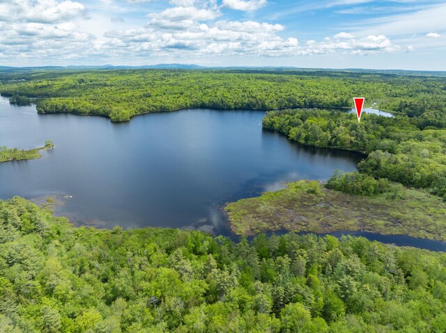 155 Crystal Cv, Waldoboro, ME 04572 - bird's eye view of a forest and a nearby body of water