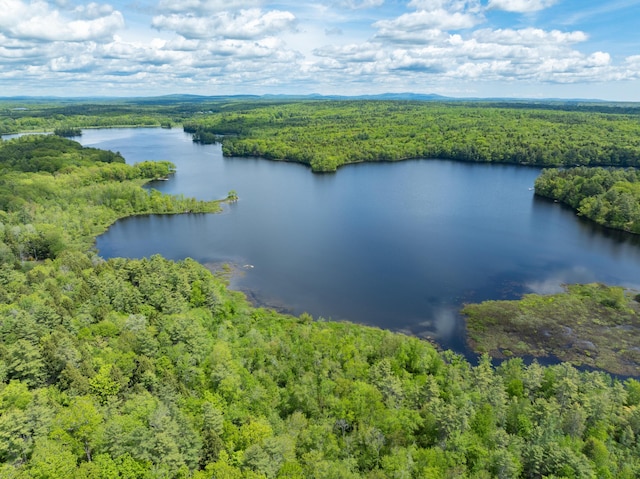 155 Crystal Cv, Waldoboro, ME 04572 - aerial view of a heavily wooded area and a large body of water