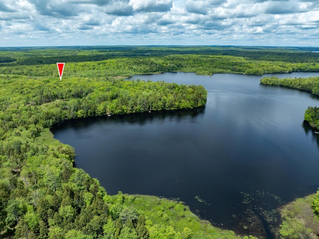 155 Crystal Cv, Waldoboro, ME 04572 - aerial view of a heavily wooded area and a large body of water