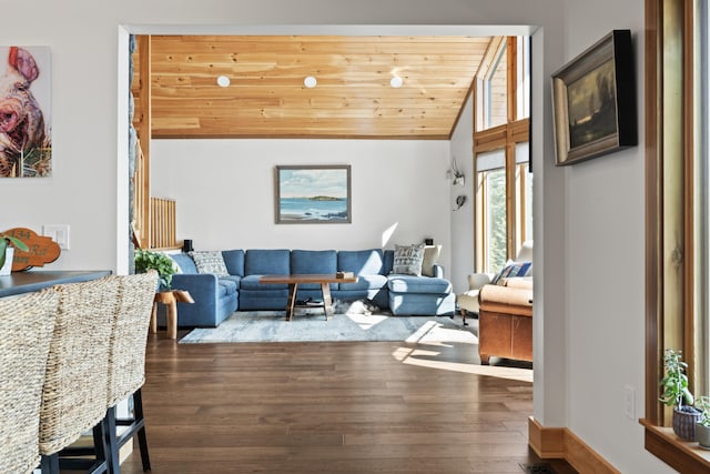 134 Zakelo Rd, Harrison, ME 04040 - living room featuring vaulted ceiling, dark wood-type flooring, and wood ceiling