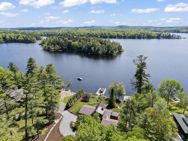 134 Zakelo Rd, Harrison, ME 04040 - drone / aerial view of a large body of water and a heavily wooded area