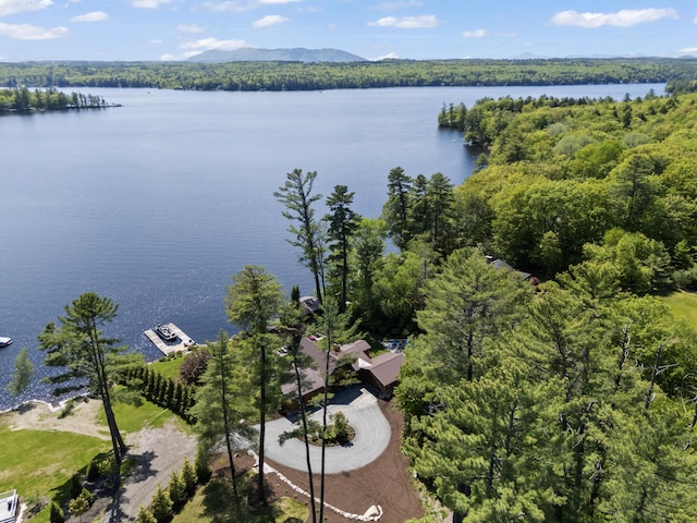 134 Zakelo Rd, Harrison, ME 04040 - bird's eye view of a large body of water and a heavily wooded area