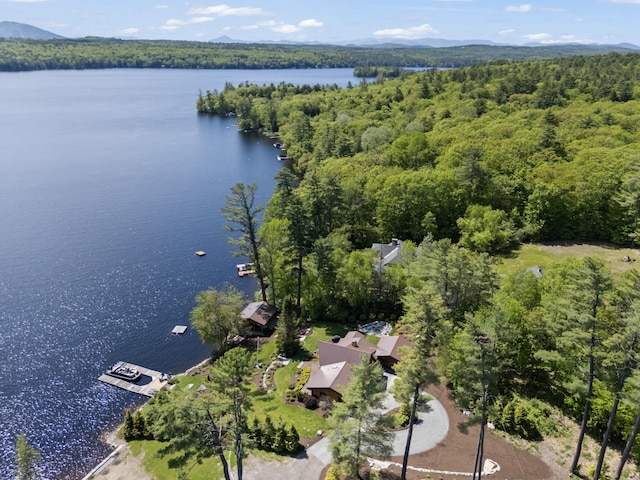 134 Zakelo Rd, Harrison, ME 04040 - aerial view of property and surrounding area featuring a heavily wooded area and a water and mountain view